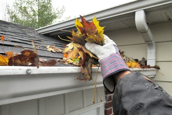 Eaves Cleaning in Bloomington